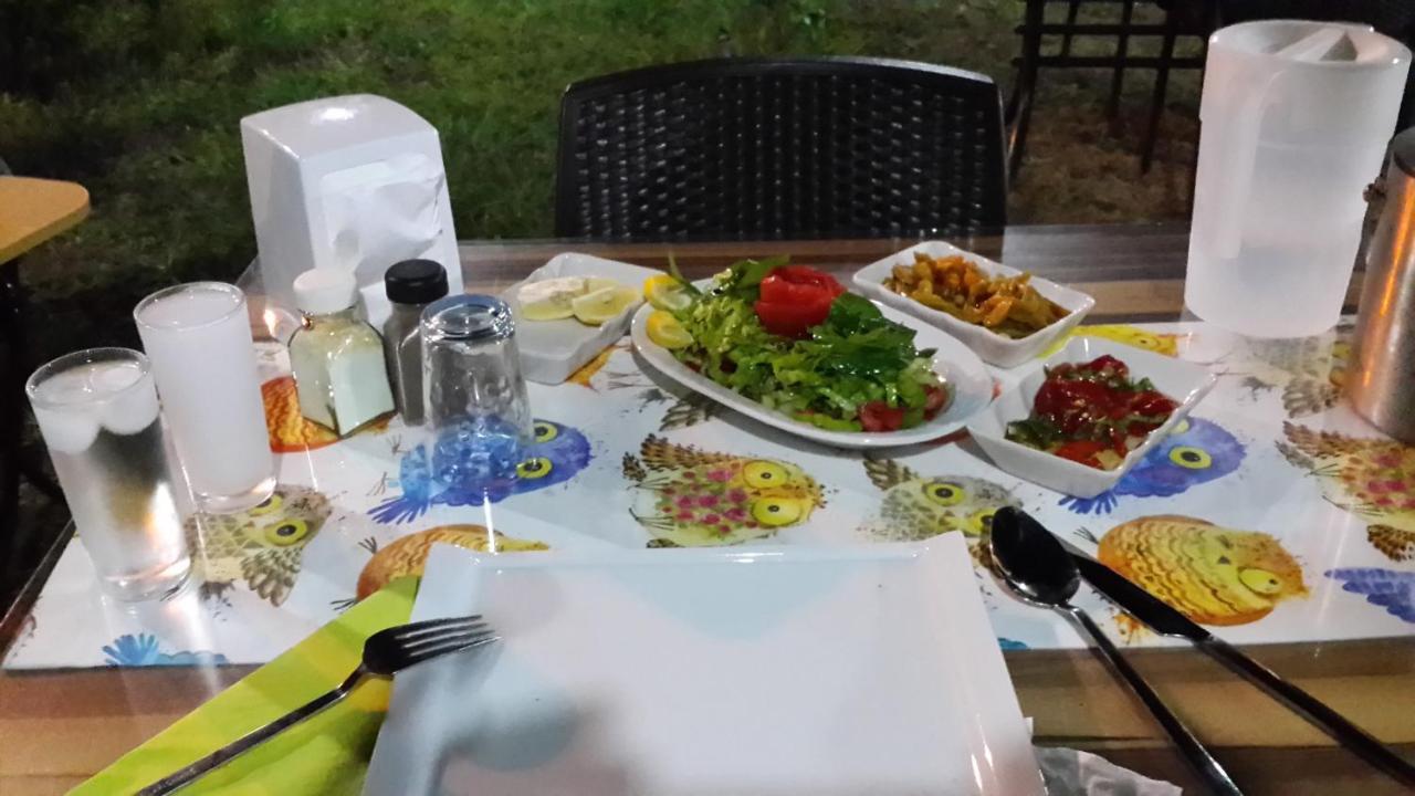 Cirali Kus Yuvasi Bed & Breakfast Luaran gambar